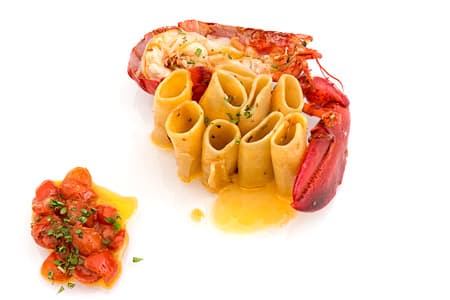 Paccheri pasta with lobster